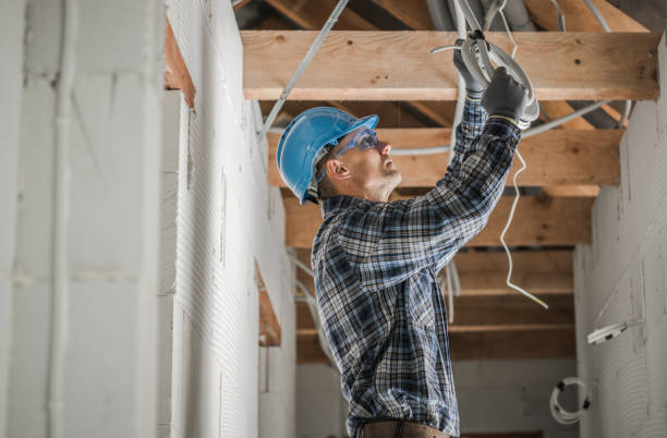 Best Electrical Upgrades for Homes  in Crescent City, FL