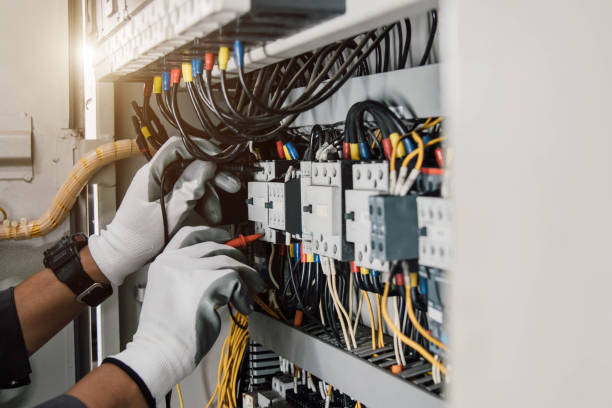 Best Electric Panel Repair  in Crescent City, FL